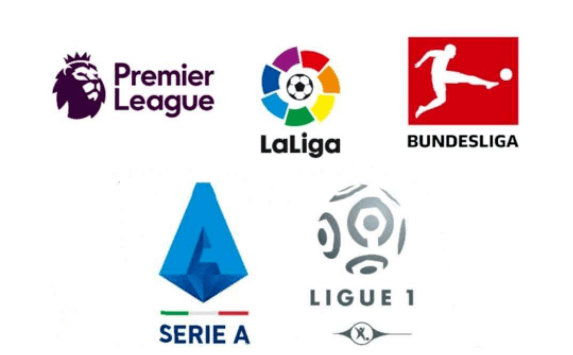 轮本土最佳 轮本土最佳